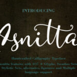 Asnitta Font Poster 1