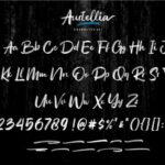 Austellia Font Poster 7