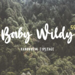 Baby Wildy Font Poster 1