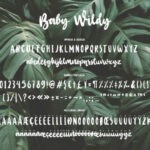 Baby Wildy Font Poster 5