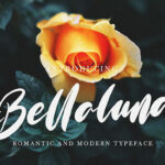 Bellaluna Font Poster 1