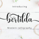 Bertilda Script Font Poster 1