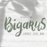 Bigarus Font Poster 1