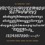 Blacklite Script Font Poster 9