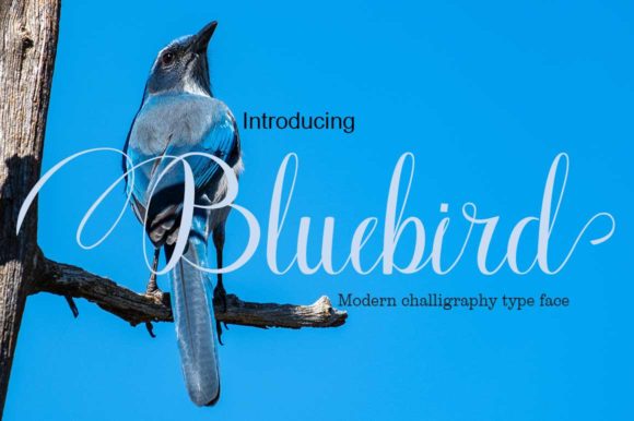 Bluebird Font