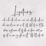 Boisterous Script Font Poster 21