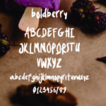 Boldberry Font Poster 5