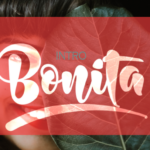 Bonita Font Poster 1