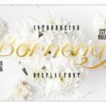 Bornena Font Poster 1