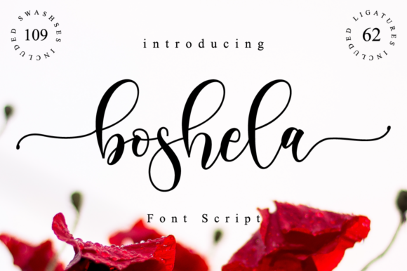 Boshela Script Font Poster 1