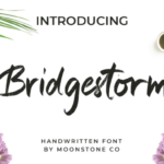 Bridgestorm Font Poster 1