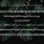 Brillotus Font Poster 10