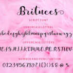 Britnees Script Font Poster 6