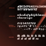 Brotha Script Font Poster 7