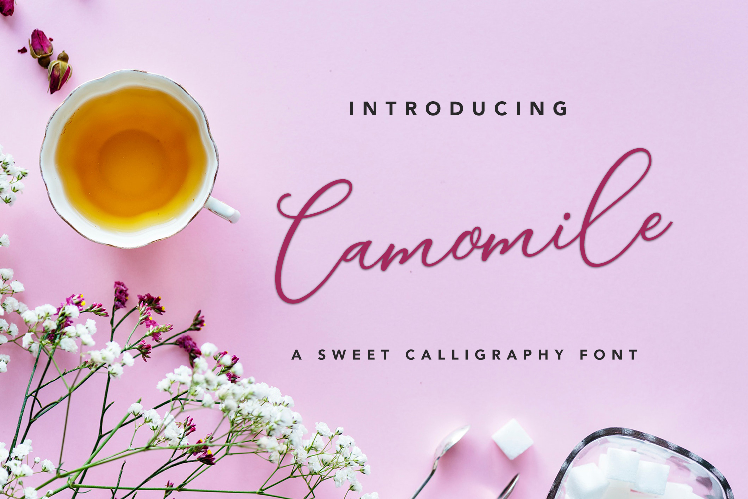 Camomile Script Font Poster 1