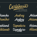 Cartanesia Font Poster 2