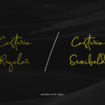 Casterio Font Poster 2