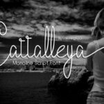 Cattalleya Font Poster 1