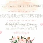 Cattieshine Font Poster 21