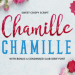 Chamille Script Font Poster 1