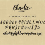 Charlie Font Poster 6