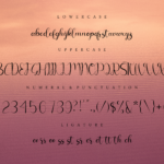 Chelosia Font Poster 6