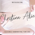 Christina Allie Font Poster 1