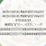 Christmas Cookies Font Poster 4