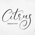 Citrus Font Poster 1