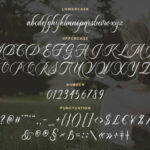 Dayland Font Poster 5