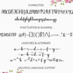 Daylily Script Font Poster 2