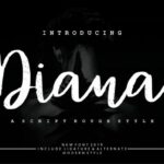 Diana Rough Font Poster 1