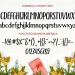 Dirabela Font Font Poster 3