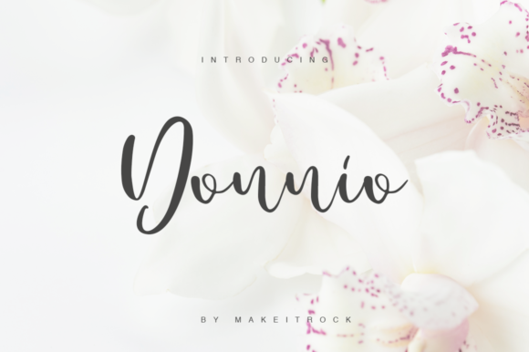 Donnio Font