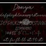 Donya Font Poster 3