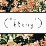 Ebony Font Poster 1