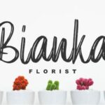 Elpanas Font Poster 2