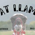 Fat Llama Font Poster 1