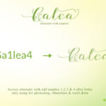 Galea Script Font Poster 7