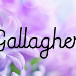 Gallagher Font Poster 1