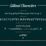 Gilliant Font Poster 7