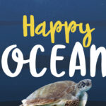 Happy Ocean Font Poster 1