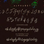 Harmony King Font Poster 3