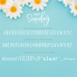 Hello Sunday Font Poster 10