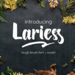 Lariess Font Poster 1