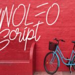 Linoleo Script Font Poster 1