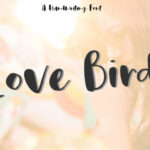 Love Bird Font Poster 1