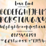 Love Bird Font Poster 6