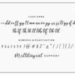 Martinesse Script Font Poster 13