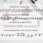 Meikayla Script Font Poster 6